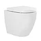 Nova Rimless Round Back To Wall Pan with Soft Close Seat  In Bathroom Large Image