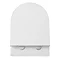 Nova Rimless Wall Hung Pan with Soft Close Seat Profile Large Image