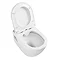 Nova Rimless Wall Hung Pan with Soft Close Seat Feature Large Image
