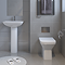 Nova Square Rimless Back to Wall Toilet Pan + Soft Close Seat