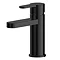 Turin Round Black Mono Basin Mixer with Push Button Waste Large Image