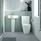 Nuie Provost Comfort Height Rimless BTW Toilet + Soft Close Seat - CMA011  Feature Large Image
