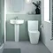 Nuie Provost Comfort Height Rimless BTW Toilet + Soft Close Seat - CMA011 Feature Large Image