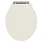 Old London - Ivory Soft Close Toilet Seat (For Chancery Toilets) - NLS398 Large Image