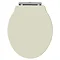 Old London - Pistachio Soft Close Toilet Seat (For Chancery Toilets) - NLS298 Large Image