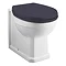 Old London Richmond Traditional Back To Wall Pan + Twilight Blue Soft Close Seat Large Image