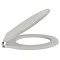 Old London - Stone Grey Soft Close Toilet Seat (For Chancery Toilets) - NLS498 Profile Large Image