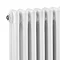 Old London - White Clarendon Radiator - 600 x 1011mm - LDR012 Profile Large Image