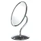 Omega Oval Desk Mirror - 1600179 Large Image