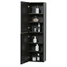 Opus Mirrored 2 Door Tall Storage Unit - Satin Black, Fluted with Brushed Brass Handle & Legs