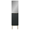 Opus Mirrored 2 Door Tall Storage Unit - Satin Black, Fluted with Brushed Brass Handle & Legs