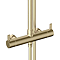 Opus Round Thermostatic Shower Brushed Brass