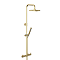 Opus Round Thermostatic Shower Brushed Brass