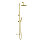 Opus Round Thermostatic Shower Brushed Brass