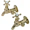 Original 3/4 Inch Brass Wall Mounted Bib Taps Large Image