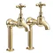 Original Polished Brass Crosshead Kitchen Bib Taps on Stand Pipes Large Image