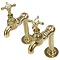 Original Polished Brass Large Kitchen Bib Taps on Stand Pipes w/ Ball Joints Standard Large Image