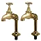 Original Polished Brass Large Kitchen Bib Taps on Stand Pipes Profile Large Image