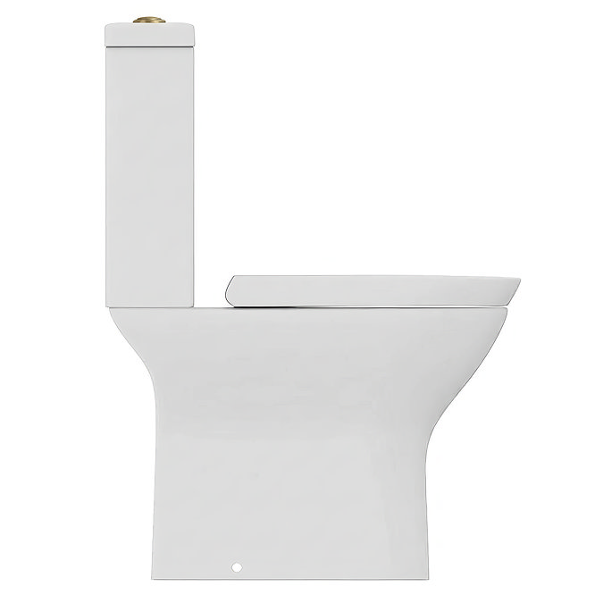 Orion Modern Short Projection Toilet with Soft Close Seat (Brushed Brass Flush + Hinges)