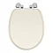 Oxford Oyster Soft Close Toilet Seat with Chrome Hinges Large Image