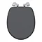 Oxford Graphite Soft Close Toilet Seat with Chrome Hinges Large Image