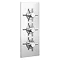 Pablo Concealed Thermostatic Valve with Fixed Shower Head & 6 Body Jets additional Large Image