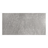 Pablo Light Grey Concrete Effect Wall & Floor Tiles - 315 x 615mm