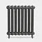 Paladin Sloane Cast Iron Radiator (750mm High)  additional Large Image