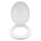 Paris Soft Close Heavyweight Toilet Seat - White - 82030197 Standard Large Image