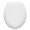 Paris Soft Close Heavyweight Toilet Seat - White - 82030197 Large Image