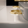 Pavilion Back to Wall Close Coupled Rimless Toilet with Soft-Close Seat, Brushed Brass Flush & Hinges