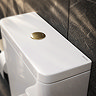 Pavilion Back to Wall Close Coupled Rimless Toilet with Soft-Close Seat, Brushed Brass Flush & Hinges