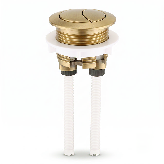 Pavilion Back to Wall Close Coupled Rimless Toilet with Soft-Close Seat, Brushed Brass Flush Button & Hinges