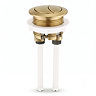Pavilion Back to Wall Close Coupled Rimless Toilet with Soft-Close Seat, Brushed Brass Flush Button & Hinges