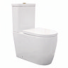 Pavilion Back to Wall Close Coupled Rimless Toilet with Soft-Close Seat, Brushed Brass Flush & Hinges
