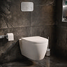 Pavilion Complete Wall Hung Rimless Toilet Set - Round Brushed Steel Flush