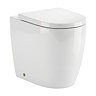 Pavilion Round Rimless Back to Wall Toilet Pan with Soft-Close Seat, Brushed Brass Hinges