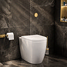 Pavilion Round Rimless Back to Wall Toilet Pan with Soft-Close Seat, Brushed Brass Hinges