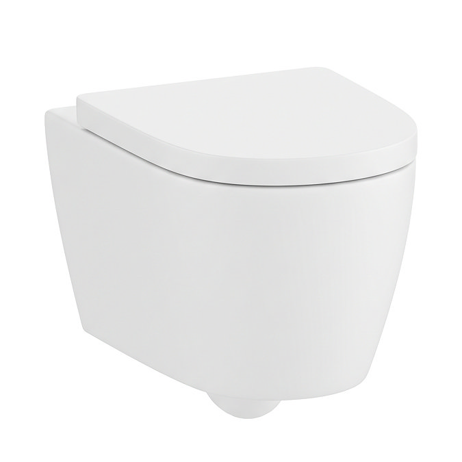 Pavilion Round Rimless Wall Hung Toilet with Soft-Close Seat, Brushed Brass Hinges