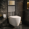Pavilion Toilet Cistern Frame with Brushed Brass Round Dual Flush Plate