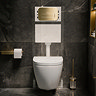 Pavilion Toilet Cistern Frame with Brushed Brass Round Dual Flush Plate