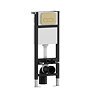 Pavilion Toilet Cistern Frame with Brushed Brass Round Dual Flush Plate