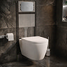 Pavilion Toilet Cistern Frame with Brushed Steel Round Dual Flush Plate_Lifestyle_B