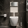 Pavilion Toilet Cistern Frame with Brushed Steel Round Dual Flush Plate_Lifestyle_B