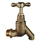 Pegler Brass Bibtap (BS 1010), Crutch Top - 508017 Large Image