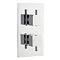 Pioneer - Minimalist Square Twin Concealed Thermostatic Shower with Chrome Plated ABS Trimset Large