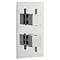 Pioneer Twin Valve Square Handles (ABS) with Rectangular Slide Rail Kit - CP087 Profile Large Image