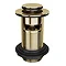 Polished Gold Small Cap Slotted Click Clack Basin Waste Large Image