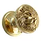 Polished Brass Lion Face Centre Door Knob - CD-386 Large Image