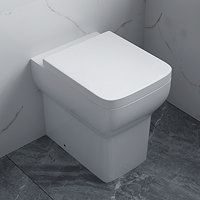 Potenza Back to Wall Rimless Toilet Pan with Soft Close Seat